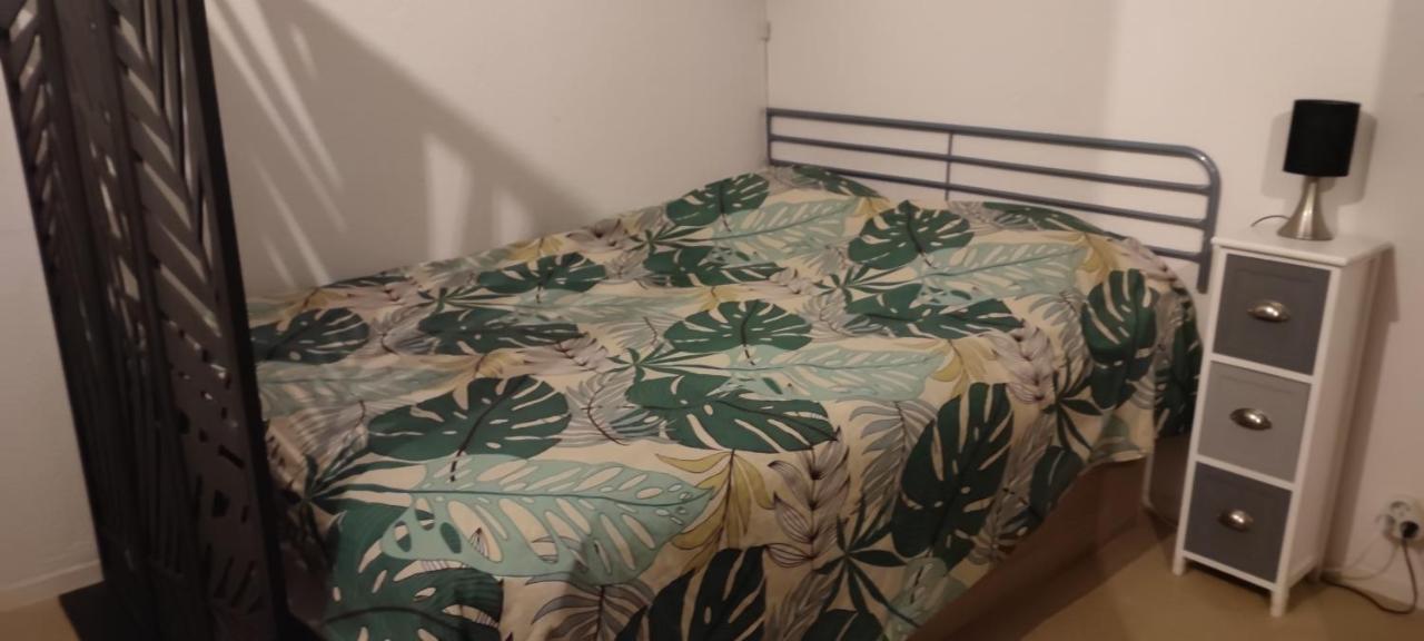 Pour Cure Et Ski Apartment Bagneres-de-Luchon Bagian luar foto